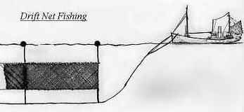 Drift Net Fishing