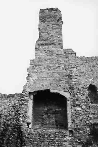 Ruins of Francisician Greyfriars Monastery - South Quay