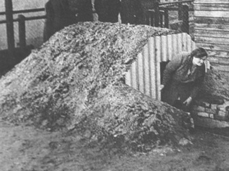 Anderson Shelter